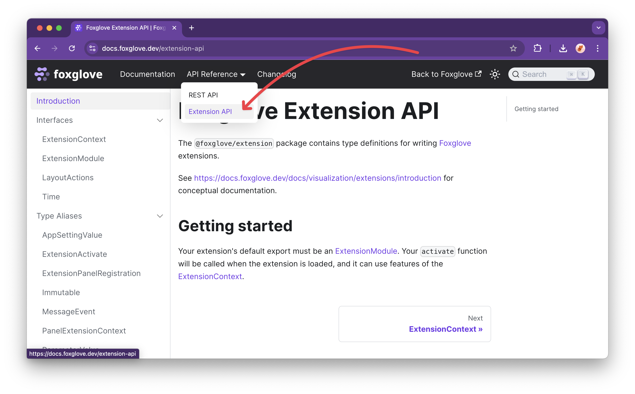 extension api docs