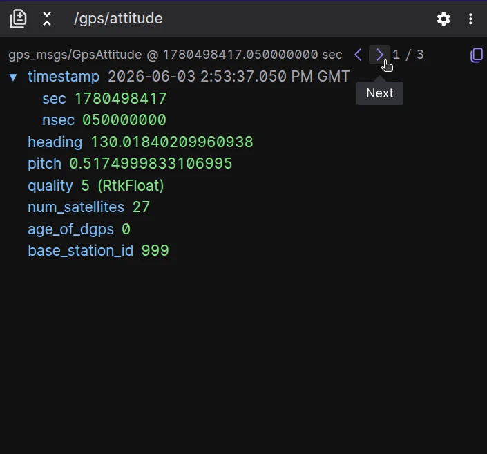 Raw Messages panel message stepping controls